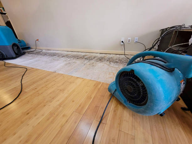 Professional Water Extraction technician working in Aurora, MN